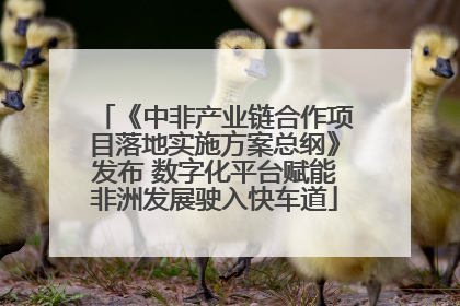 《中非产业链合作项目落地实施方案总纲》发布 数字化平台赋能非洲发展驶入快车道