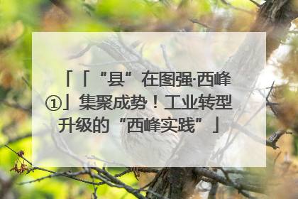 「“县”在图强·西峰①」集聚成势！工业转型升级的“西峰实践”