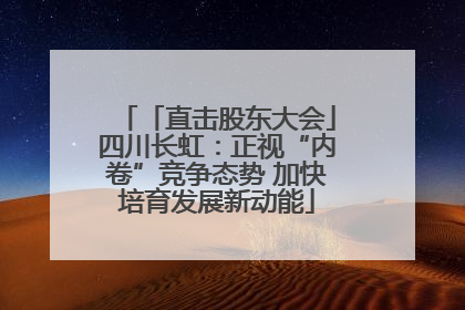 「直击股东大会」四川长虹：正视“内卷”竞争态势 加快培育发展新动能
