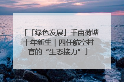 「绿色发展」千亩荷塘 十年新生｜四任航空村官的“生态接力”