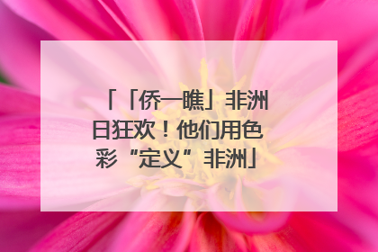 「侨一瞧」非洲日狂欢！他们用色彩“定义”非洲