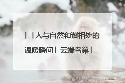 「人与自然和谐相处的温暖瞬间」云端鸟巢