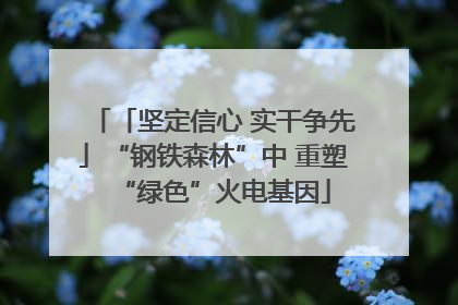 「坚定信心 实干争先」“钢铁森林”中 重塑“绿色”火电基因