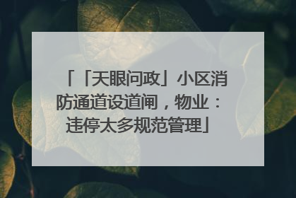 「天眼问政」小区消防通道设道闸，物业：违停太多规范管理