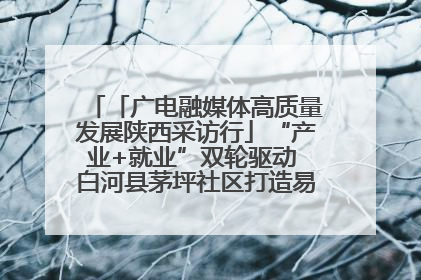 「广电融媒体高质量发展陕西采访行」“产业+就业”双轮驱动 白河县茅坪社区打造易地搬迁后扶新样本