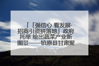 「强信心 看发展·招商引资拼落地」政府托举 绘出蔬菜产业新图景——镇原县甘肃聚广利现代设施蔬菜种植基地见闻