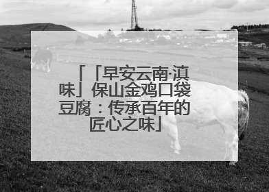 「早安云南·滇味」保山金鸡口袋豆腐：传承百年的匠心之味