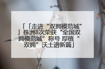 「走进“双拥模范城”」株洲8次荣获“全国双拥模范城”称号 厚植“双拥”沃土谱新篇