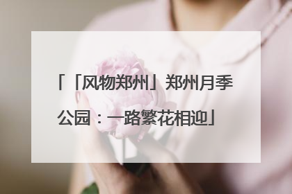 「风物郑州」郑州月季公园：一路繁花相迎