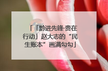 「黔进先锋·贵在行动」赵大志的“民生账本”画满勾勾