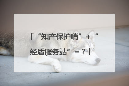 “知产保护哨”+“经盾服务站”=?