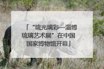 “琉光璃彩—淄博琉璃艺术展”在中国国家博物馆开幕