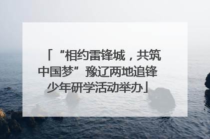“相约雷锋城，共筑中国梦”豫辽两地追锋少年研学活动举办