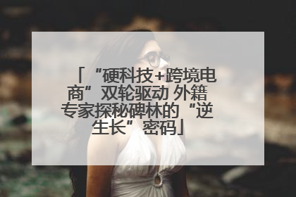 “硬科技+跨境电商”双轮驱动 外籍专家探秘碑林的“逆生长”密码