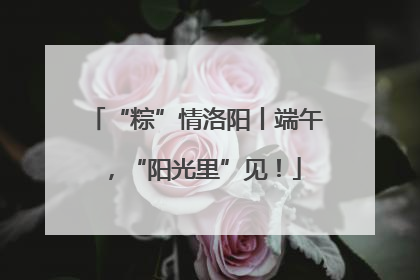 “粽”情洛阳丨端午，“阳光里”见！