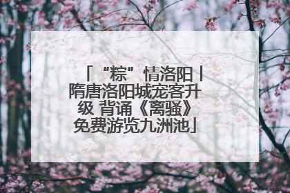 “粽”情洛阳丨隋唐洛阳城宠客升级 背诵《离骚》免费游览九洲池