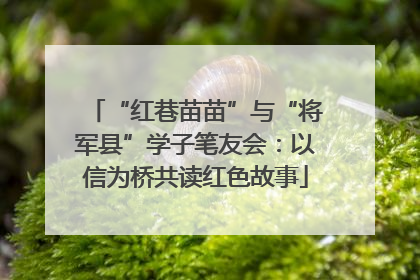 “红巷苗苗”与“将军县”学子笔友会：以信为桥共读红色故事