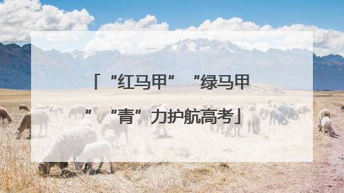 “红马甲”“绿马甲”“青”力护航高考