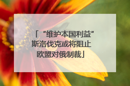 “维护本国利益” 斯洛伐克或将阻止欧盟对俄制裁