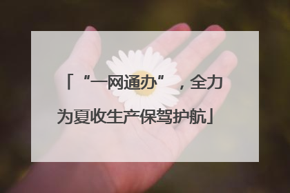 “一网通办”，全力为夏收生产保驾护航