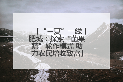 “三夏”一线丨肥城：探索“菌果蔬”轮作模式 助力农民增收致富