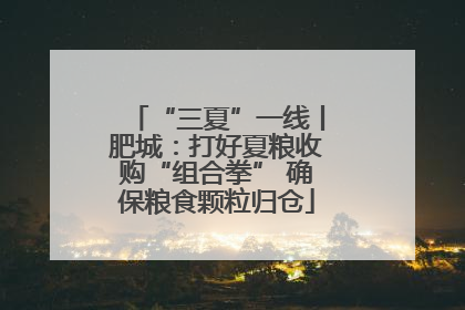 “三夏”一线丨肥城：打好夏粮收购“组合拳” 确保粮食颗粒归仓