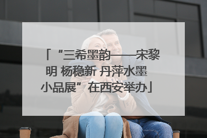 “三希墨韵——宋黎明 杨稳新 丹萍水墨小品展”在西安举办