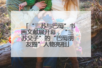 “三苏与巴蜀”书画文献展开幕，“三苏父子”的“巴蜀朋友圈”人物亮相