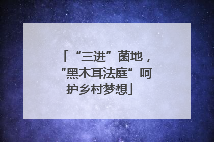 “三进”菌地，“黑木耳法庭”呵护乡村梦想