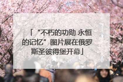 “不朽的功勋 永恒的记忆”图片展在俄罗斯圣彼得堡开幕