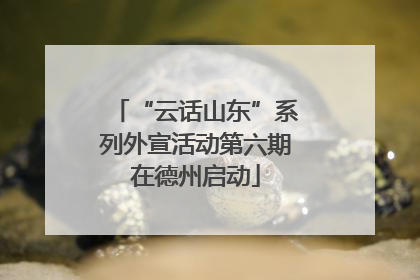 “云话山东”系列外宣活动第六期在德州启动