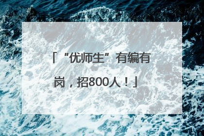 “优师生”有编有岗，招800人！
