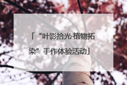 “叶影拾光·植物拓染”手作体验活动
