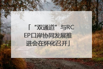 “双通道”与RCEP口岸协同发展推进会在怀化召开