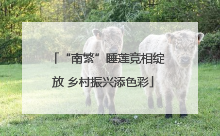 “南繁”睡莲竞相绽放 乡村振兴添色彩