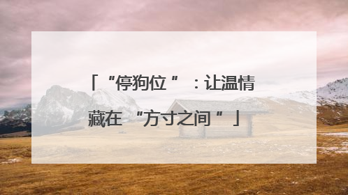 “停狗位 ”：让温情藏在 “方寸之间 ”