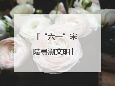 “六一”宋陵寻溯文明