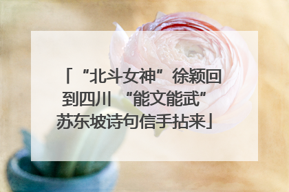 “北斗女神”徐颖回到四川 “能文能武”苏东坡诗句信手拈来