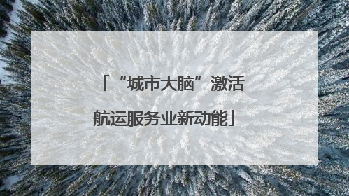 “城市大脑”激活航运服务业新动能