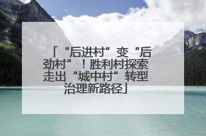 “后进村”变“后劲村”！胜利村探索走出“城中村”转型治理新路径