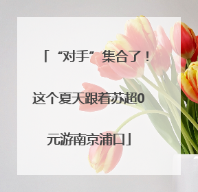 “对手”集合了！这个夏天跟着苏超0元游南京浦口