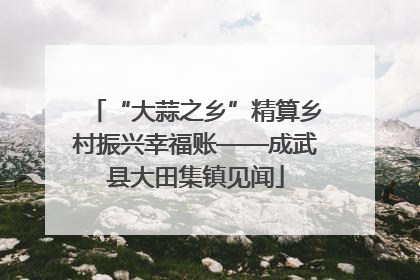 “大蒜之乡”精算乡村振兴幸福账——成武县大田集镇见闻