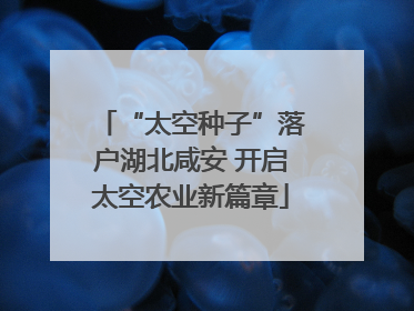 “太空种子”落户湖北咸安 开启太空农业新篇章
