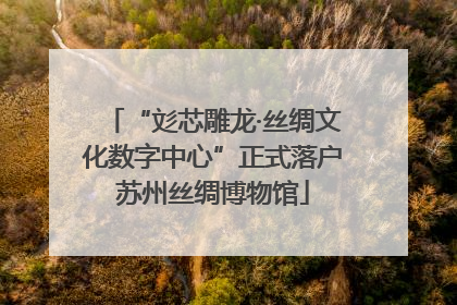 “彣芯雕龙·丝绸文化数字中心”正式落户苏州丝绸博物馆