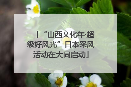 “山西文化年·超级好风光”日本采风活动在大同启动