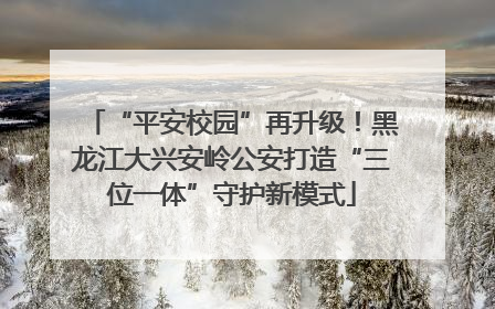 “平安校园”再升级！黑龙江大兴安岭公安打造“三位一体”守护新模式