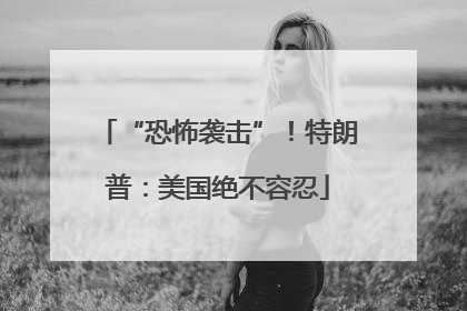 “恐怖袭击”！特朗普：美国绝不容忍