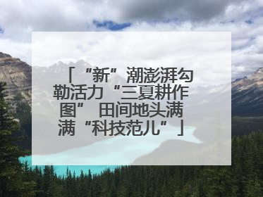 “新”潮澎湃勾勒活力“三夏耕作图” 田间地头满满“科技范儿”