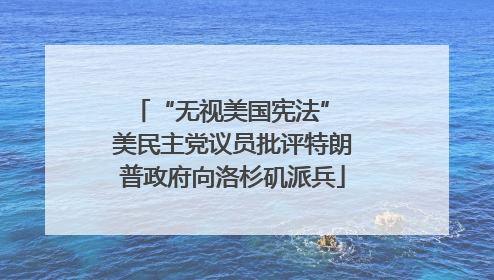 “无视美国宪法” 美民主党议员批评特朗普政府向洛杉矶派兵