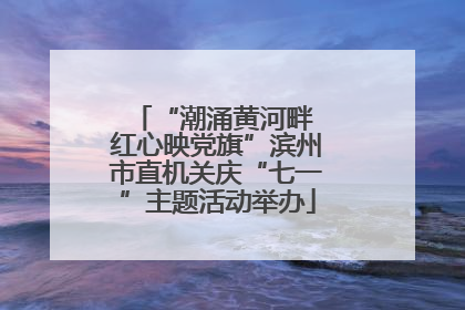 “潮涌黄河畔 红心映党旗”滨州市直机关庆“七一”主题活动举办